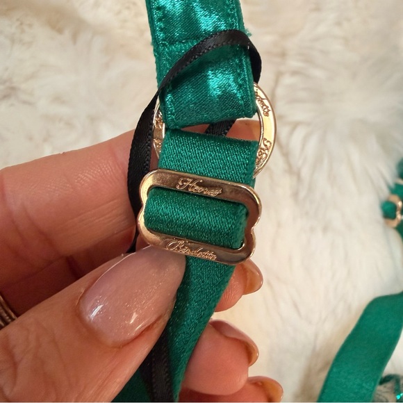 NWT Honey Birdette Willow Underwire plunge bra in Emerald size 38DDD - Picture 10 of 14